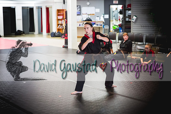 Midwest Professional Karate Black Belt Test 2016