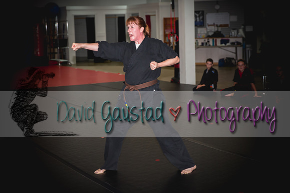Midwest Professional Karate Black Belt Test 2016