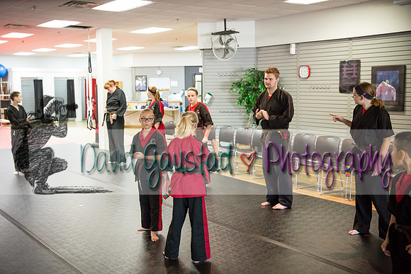 Midwest Professional Karate Black Belt Test 2016