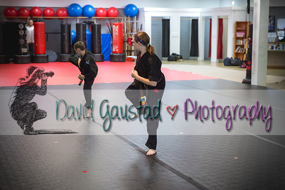 Midwest Professional Karate Black Belt Test 2016