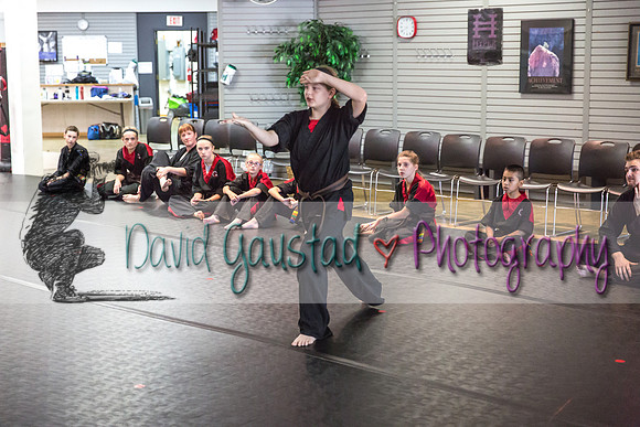 Midwest Professional Karate Black Belt Test 2016