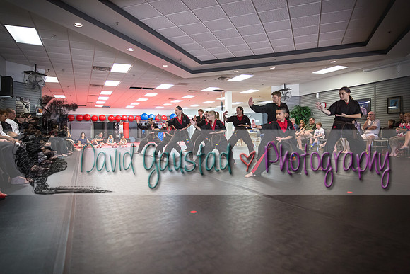 Midwest Professional Karate Black Belt Test 2016