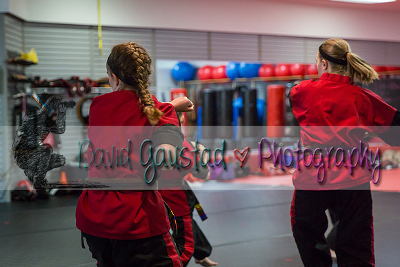 Midwest Professional Karate Black Belt Test 2016