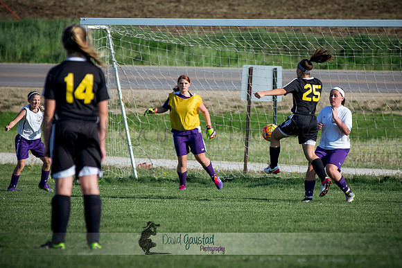 DeForest Norski soccer vs Rock on 5/21/2016