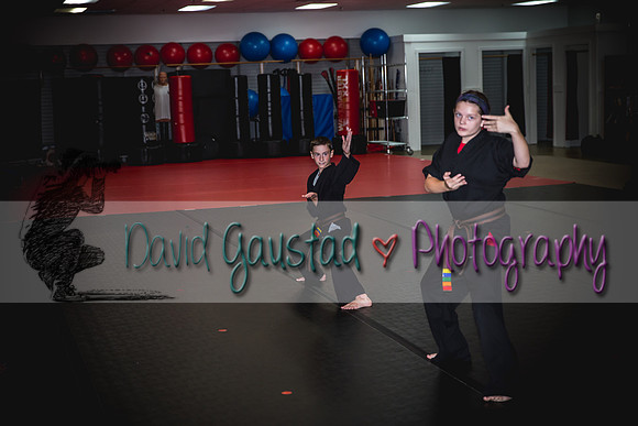 Midwest Professional Karate Black Belt Test 2016