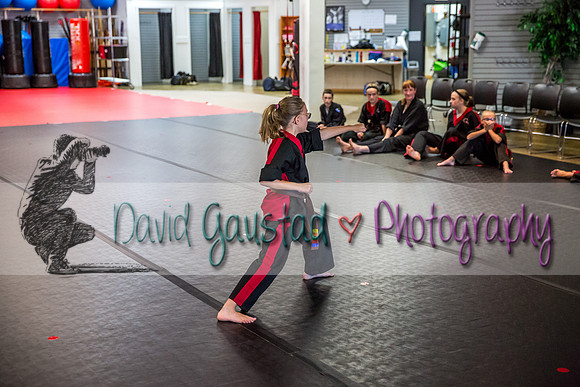 Midwest Professional Karate Black Belt Test 2016