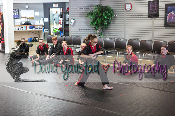 Midwest Professional Karate Black Belt Test 2016