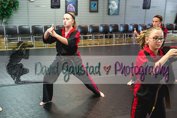 Midwest Professional Karate Black Belt Test 2016