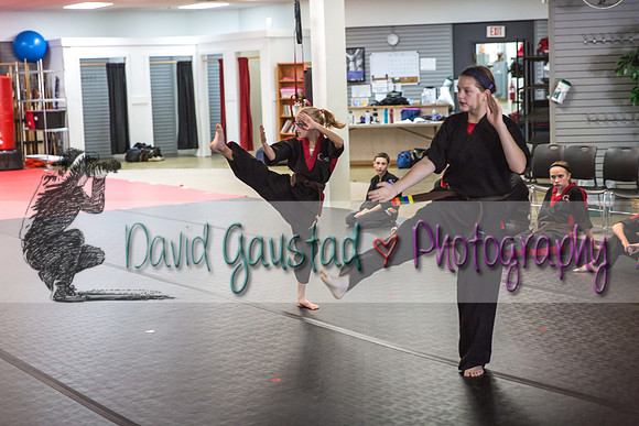 Midwest Professional Karate Black Belt Test 2016