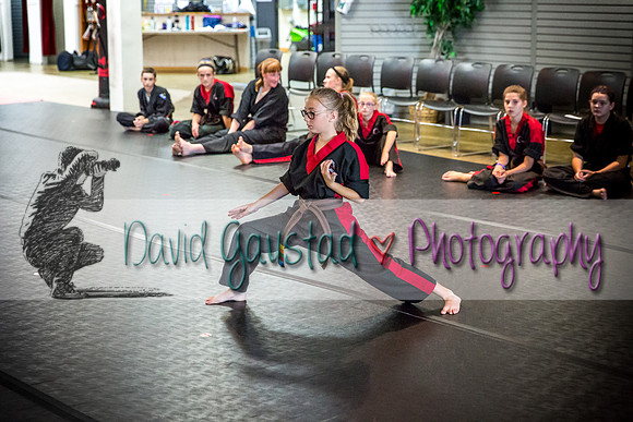 Midwest Professional Karate Black Belt Test 2016