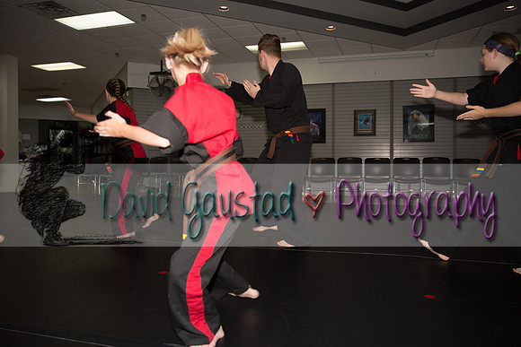 Midwest Professional Karate Black Belt Test 2016