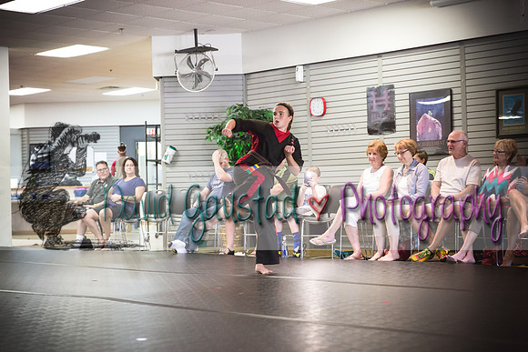 Midwest Professional Karate Black Belt Test 2016