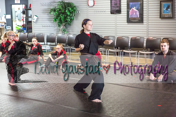 Midwest Professional Karate Black Belt Test 2016