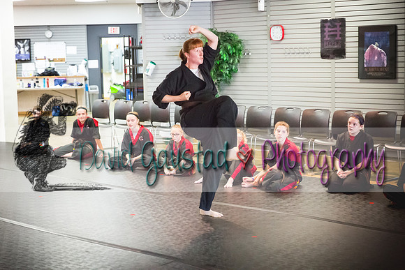 Midwest Professional Karate Black Belt Test 2016