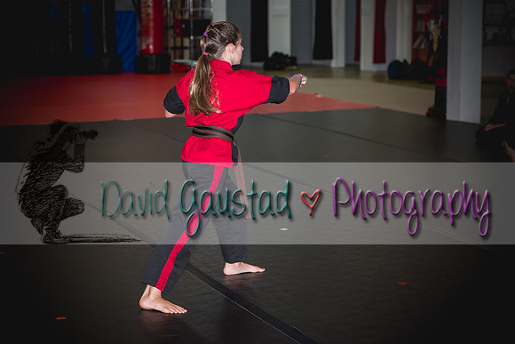 Midwest Professional Karate Black Belt Test 2016