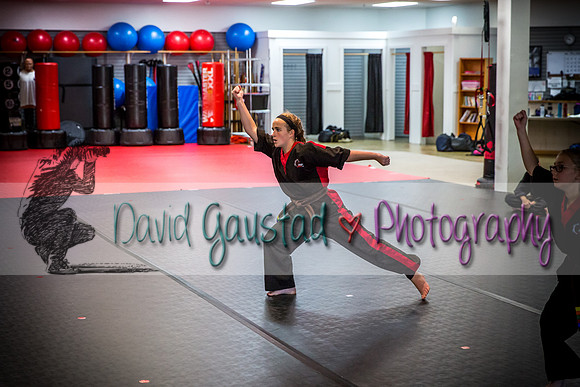 Midwest Professional Karate Black Belt Test 2016