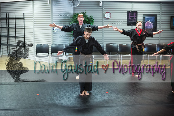 Midwest Professional Karate Black Belt Test 2016