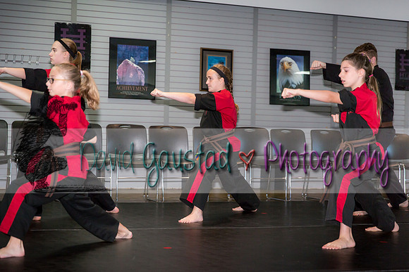 Midwest Professional Karate Black Belt Test 2016