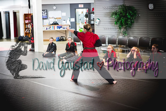 Midwest Professional Karate Black Belt Test 2016