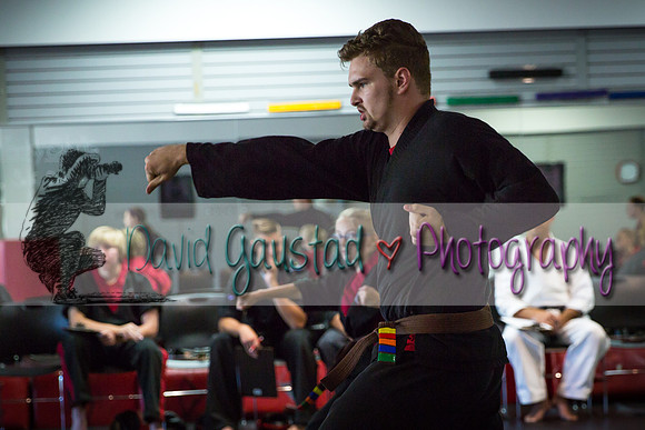Midwest Professional Karate Black Belt Test 2016