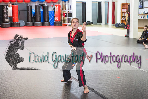 Midwest Professional Karate Black Belt Test 2016