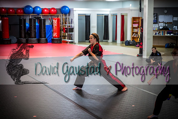 Midwest Professional Karate Black Belt Test 2016