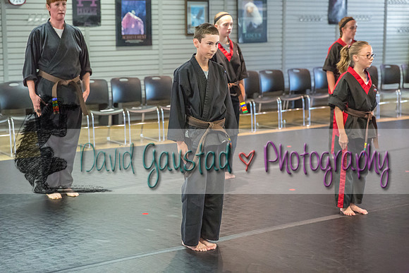 Midwest Professional Karate Black Belt Test 2016