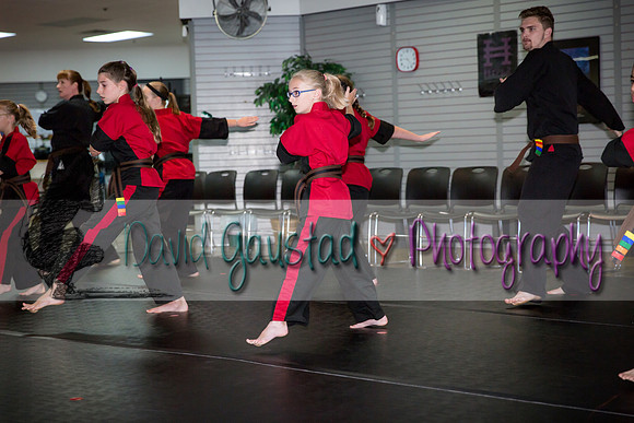 Midwest Professional Karate Black Belt Test 2016