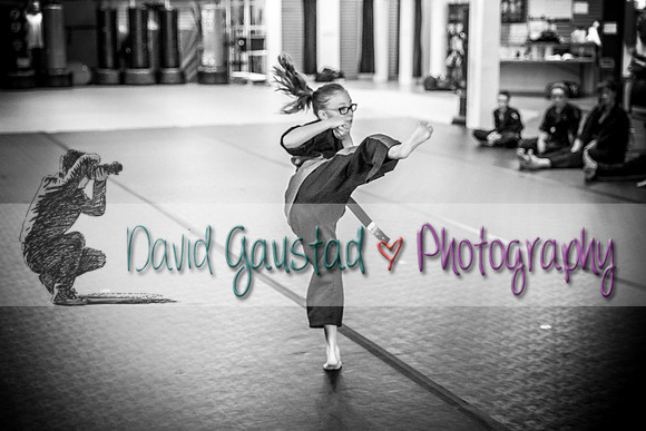 Midwest Professional Karate Black Belt Test 2016