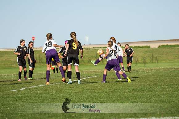 DeForest Norski soccer vs Rock on 5/21/2016
