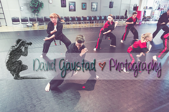 Midwest Professional Karate Black Belt Test 2016