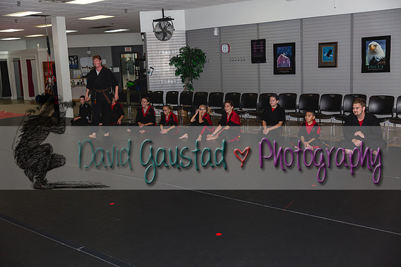 Midwest Professional Karate Black Belt Test 2016