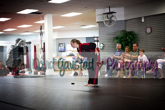 Midwest Professional Karate Black Belt Test 2016