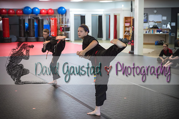 Midwest Professional Karate Black Belt Test 2016