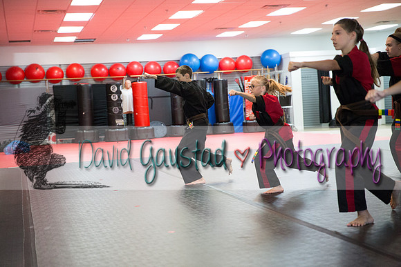 Midwest Professional Karate Black Belt Test 2016