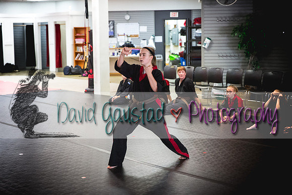 Midwest Professional Karate Black Belt Test 2016