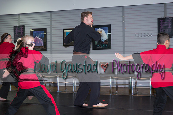 Midwest Professional Karate Black Belt Test 2016