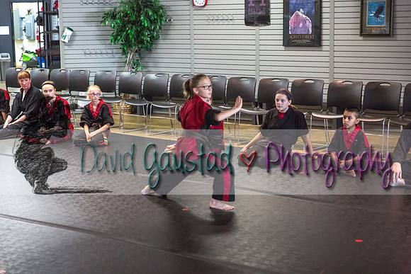 Midwest Professional Karate Black Belt Test 2016