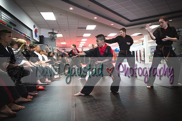 Midwest Professional Karate Black Belt Test 2016