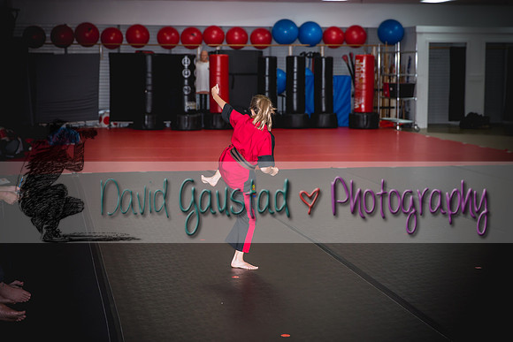 Midwest Professional Karate Black Belt Test 2016