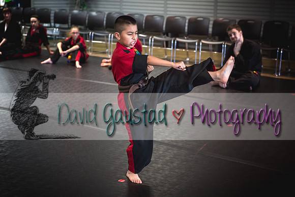 Midwest Professional Karate Black Belt Test 2016