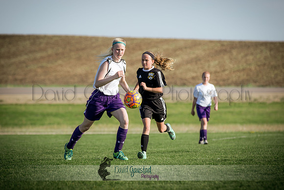 DeForest Norski soccer vs Rock on 5/21/2016