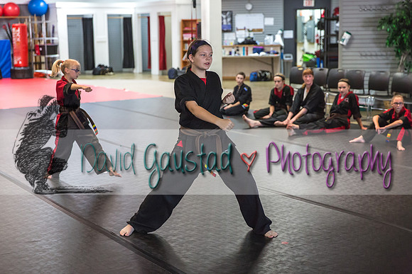 Midwest Professional Karate Black Belt Test 2016
