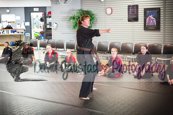 Midwest Professional Karate Black Belt Test 2016
