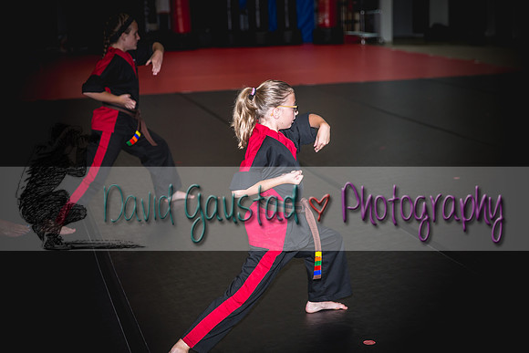 Midwest Professional Karate Black Belt Test 2016