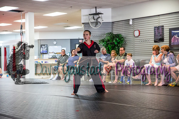 Midwest Professional Karate Black Belt Test 2016