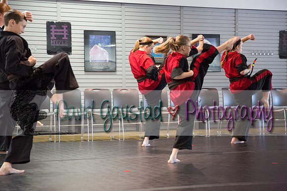 Midwest Professional Karate Black Belt Test 2016