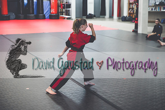 Midwest Professional Karate Black Belt Test 2016