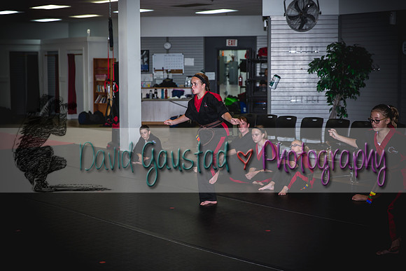 Midwest Professional Karate Black Belt Test 2016