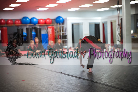 Midwest Professional Karate Black Belt Test 2016